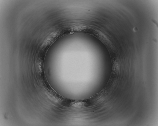 X0000103470452200809191839