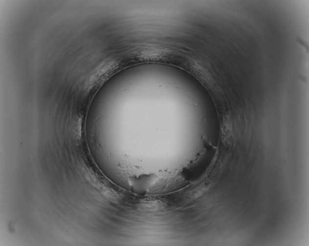 X0000103470454200809191839