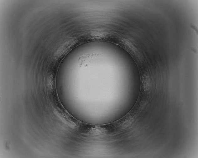 X0000103470455200809191839