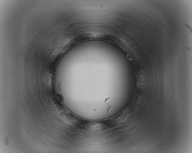 X0000103470456200809191839