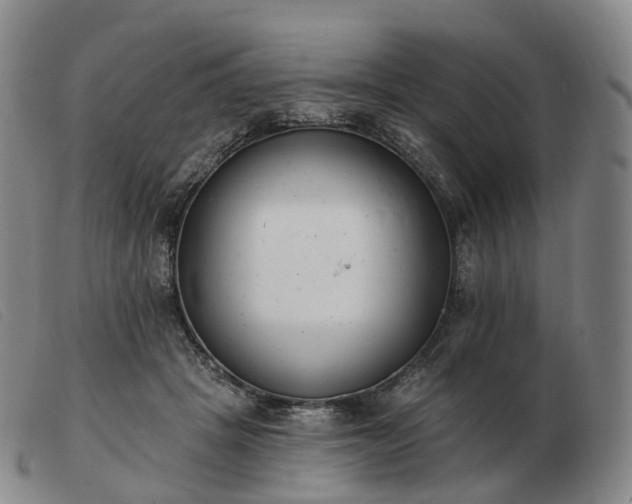 X0000103470457200809191839