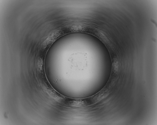 X0000103470458200809191839