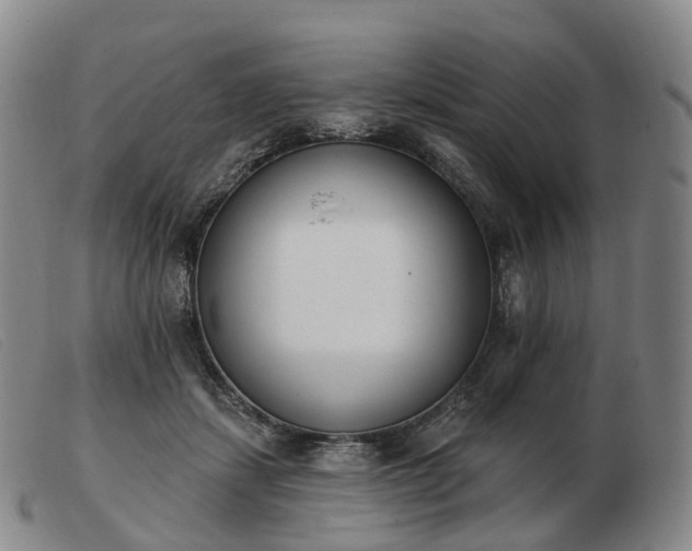 X0000103470459200809191839