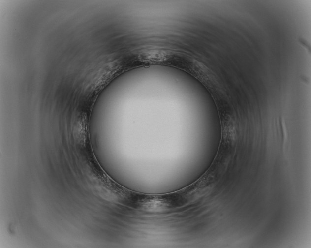 X0000103470460200809191839