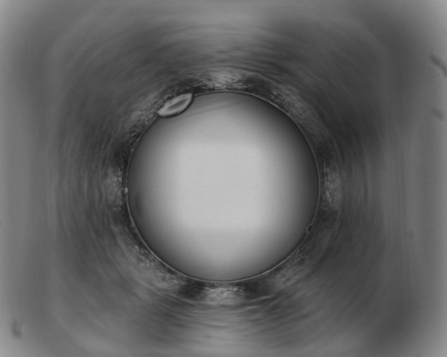 X0000103470461200809191839