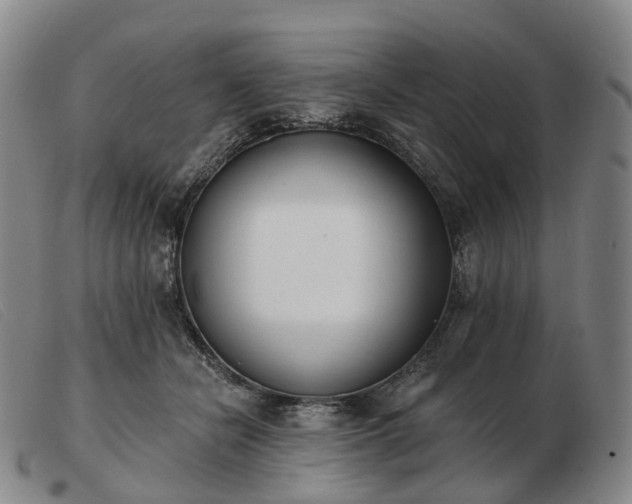 X0000103470462200809191839