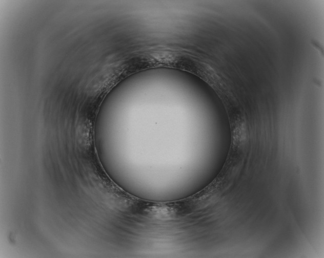 X0000103470464200809191839