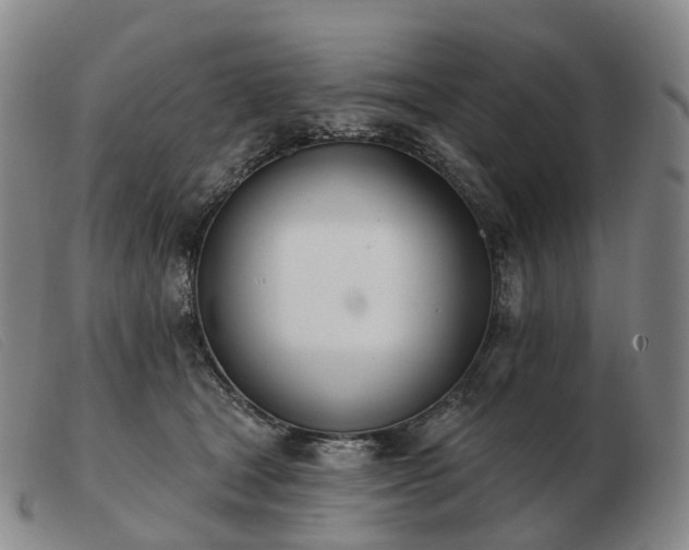 X0000103470465200809191839