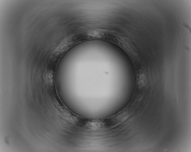 X0000103470466200809191839