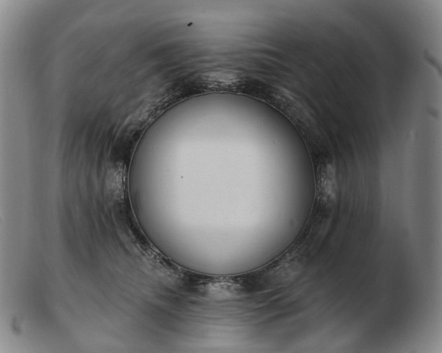 X0000103470468200809191839