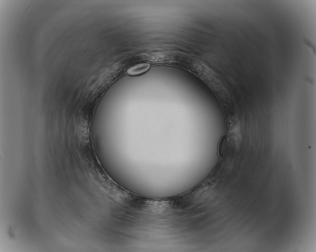 X0000103470469200809191839