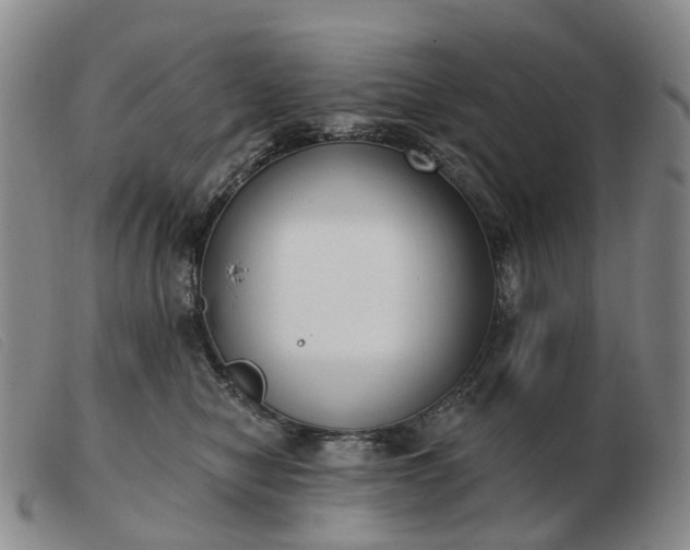 X0000103470470200809191839