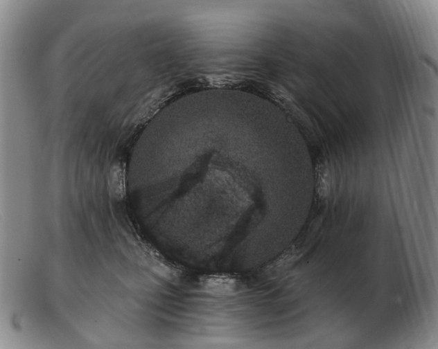 X0000103470471200809191839