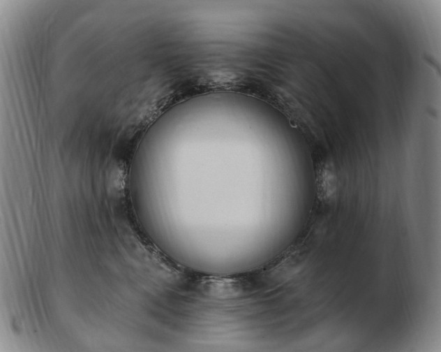 X0000103470472200809191839