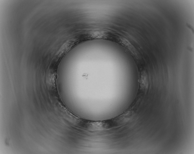 X0000103470473200809191839