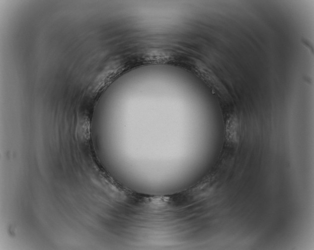 X0000103470474200809191839