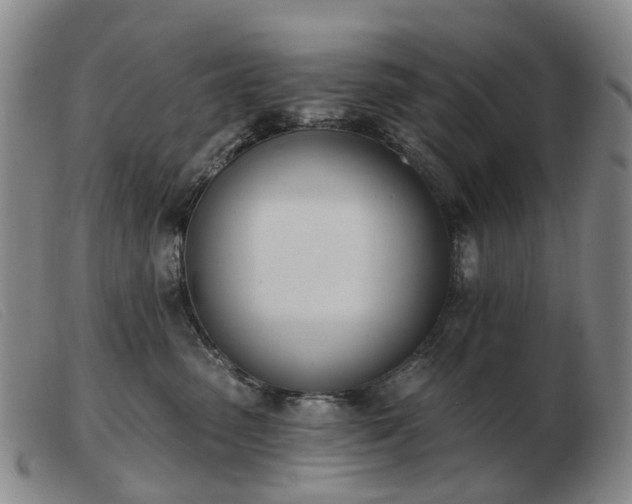 X0000103470475200809191839