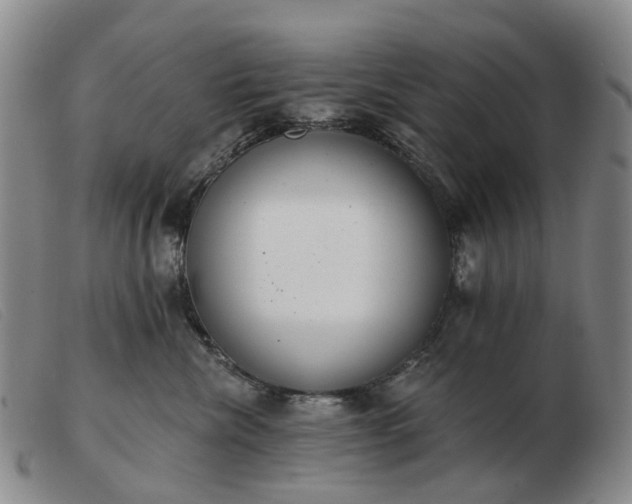 X0000103470476200809191839