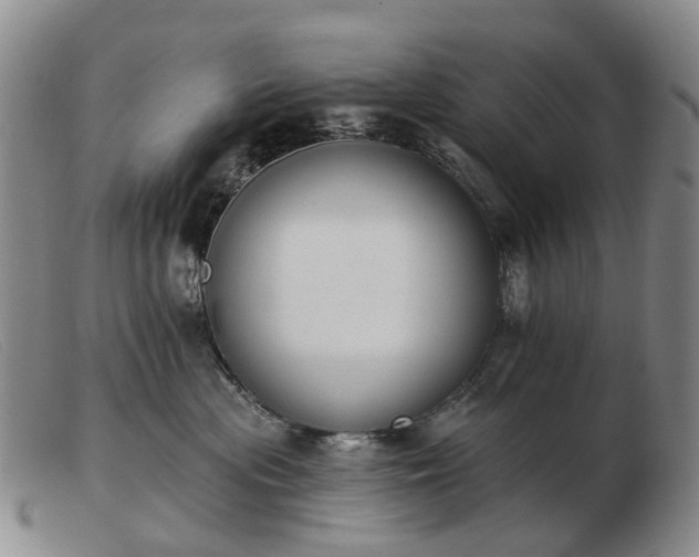 X0000103470477200809191839