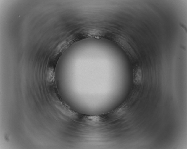 X0000103470478200809191839