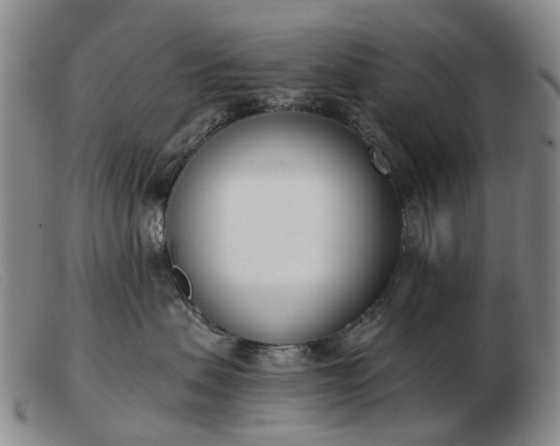 X0000103470479200809191839