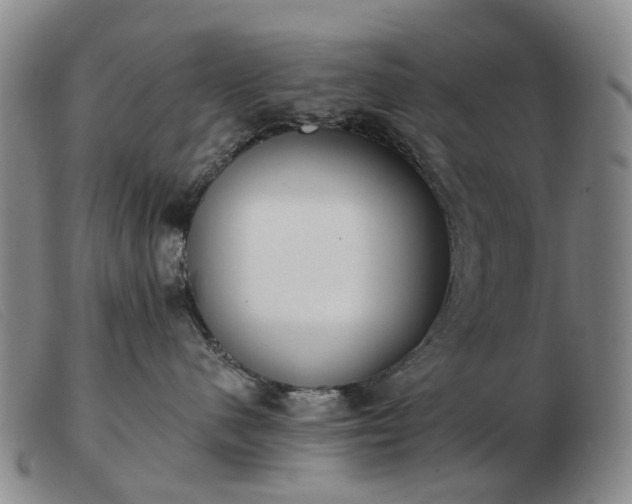 X0000103470480200809191839