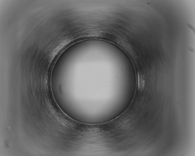 X0000103470483200809191839