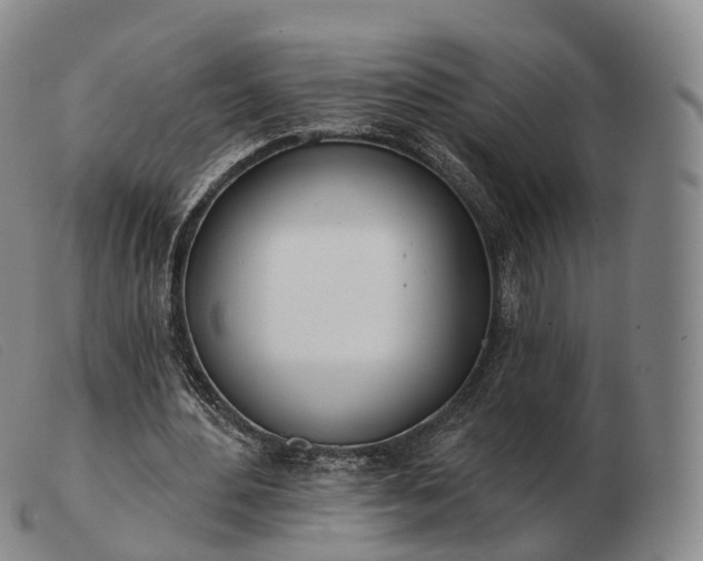 X0000103470484200809191839