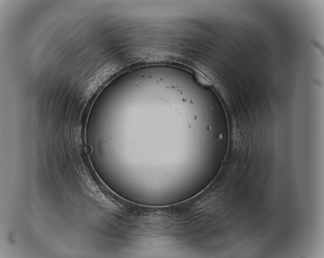 X0000103470485200809191839