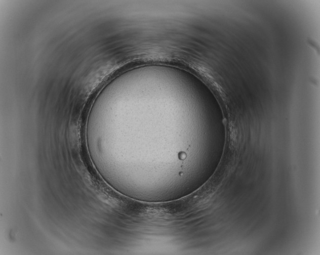 X0000103470487200809191839