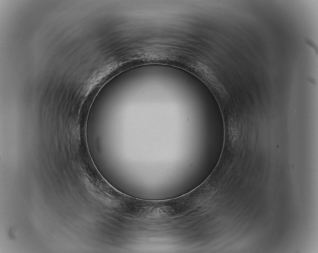 X0000103470488200809191839