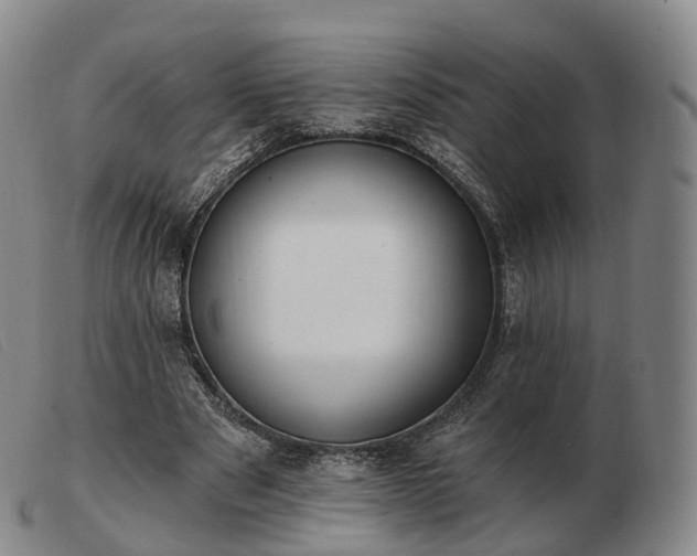 X0000103470489200809191839