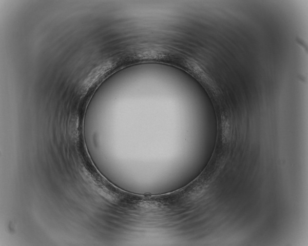 X0000103470490200809191839