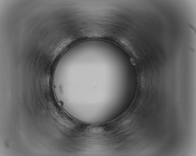 X0000103470491200809191839