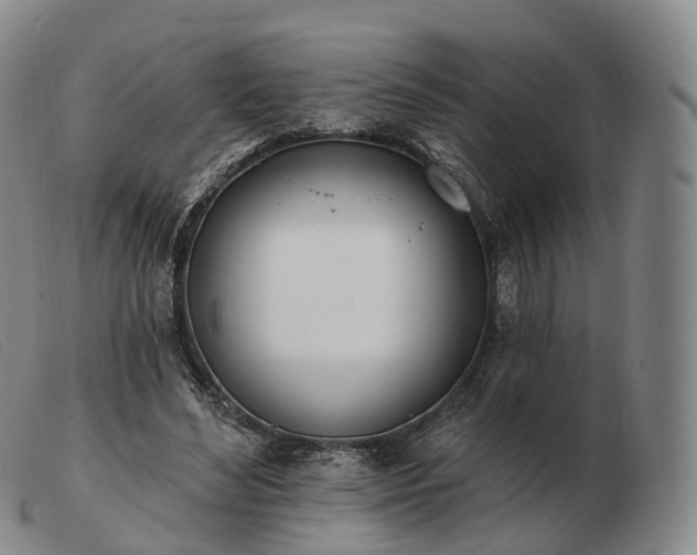 X0000103470492200809191839