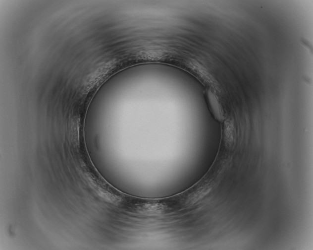 X0000103470493200809191839