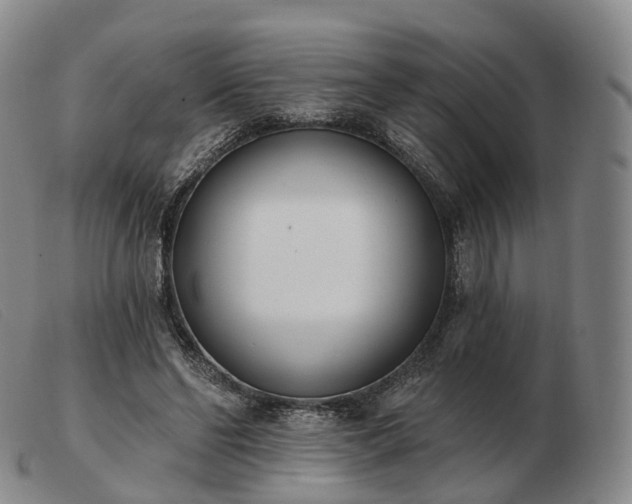 X0000103470494200809191839