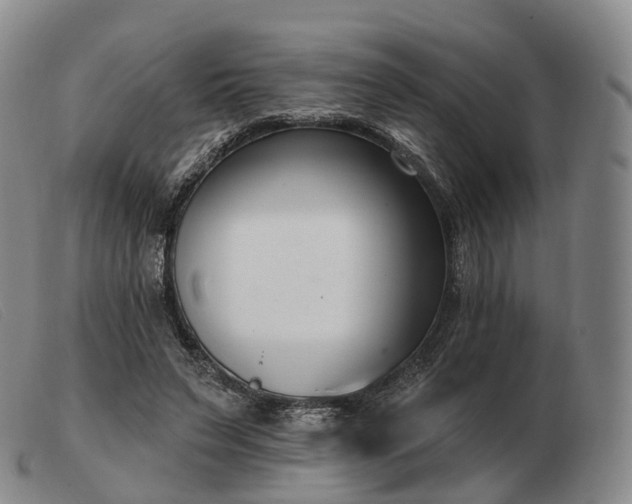 X0000103470495200809191838