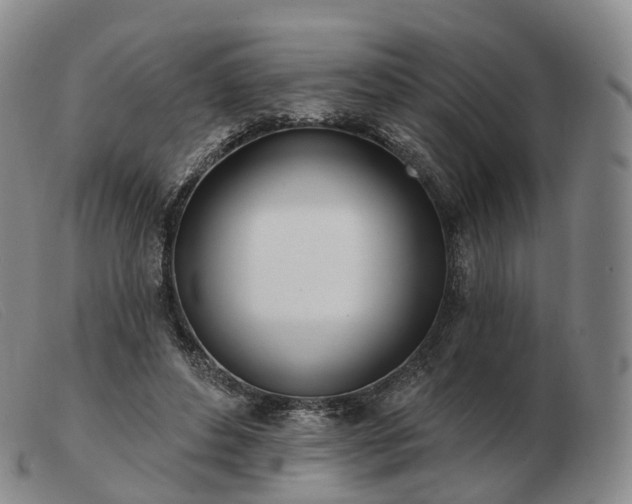 X0000103470496200809191838