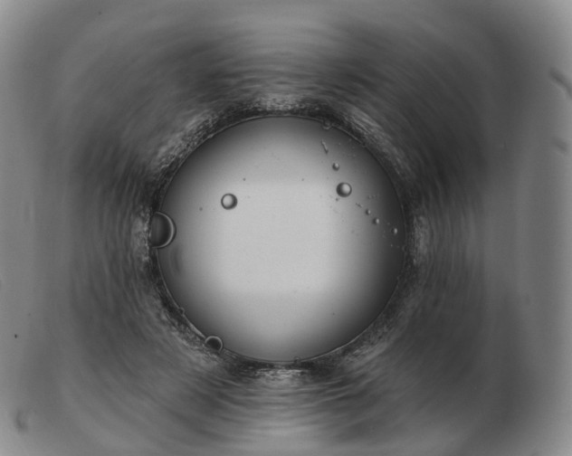 X0000103470497200809191838