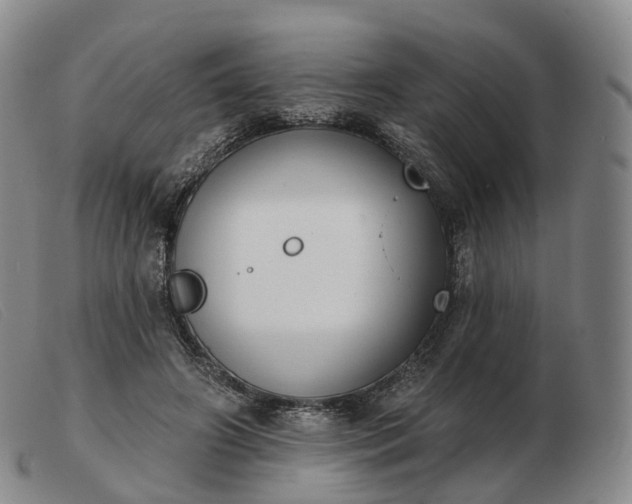 X0000103470498200809191838