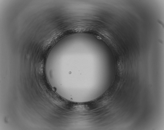 X0000103470499200809191838