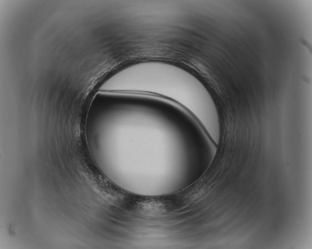 X0000103470500200809191838