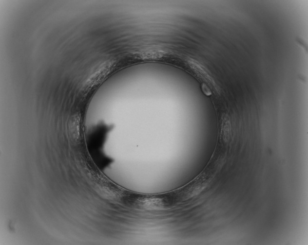 X0000103470501200809191838