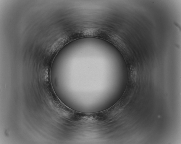 X0000103470502200809191838