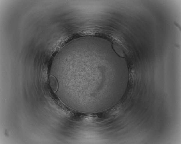 X0000103470504200809191838