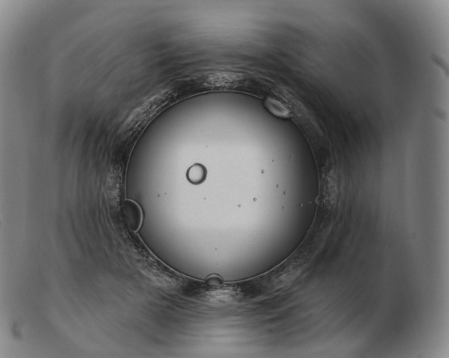 X0000103470505200809191838