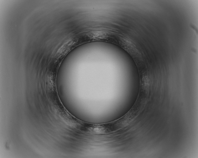 X0000103470506200809191838