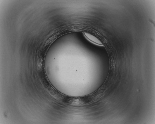 X0000103470507200809191838