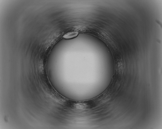 X0000103470508200809191838